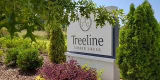 Treeline Timber Creek Gallery 29