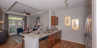 Harbor Cove Gallery 13