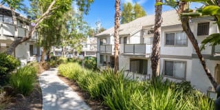 Las Palmas Gallery 25