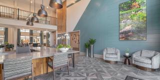 Tributary Rise Gallery 59