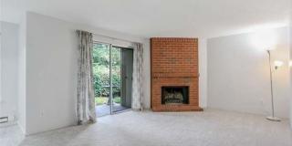 Remodeled ground floor 2 bed! Gallery 9