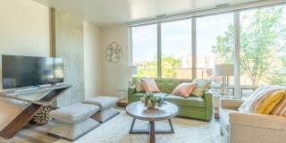 Ovation 309 Gallery 16