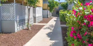 Reseda Continental Apartments Gallery 13