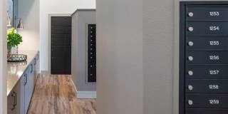 Emory West Cypress Gallery 14