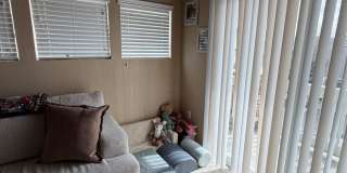 Fantastic!  Light and Bright!  1 bed + loft - 1 bath Gallery 13