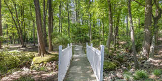 Avenue at Harbison Gallery 3