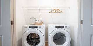 J. Ardin at Apopka Gallery 17