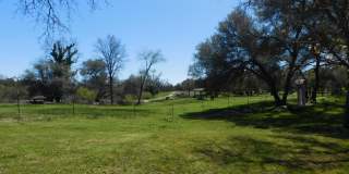 7077 Pine Gate Way Gallery 8