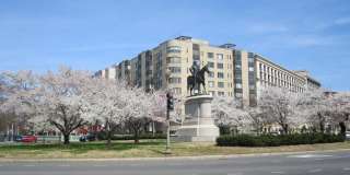 1 SCOTT NW unit: 118 Gallery 2