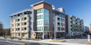 The Standard The Standard Gallery 37