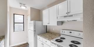 Aspen Flatz Gallery 5