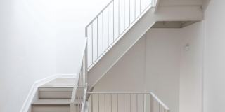 1256 Bay Street Gallery 2