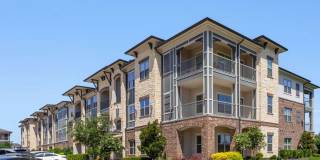 Alleia Presidio Gallery 28