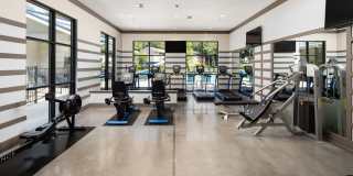 Park at Abernathy Square Apartments Gallery 4