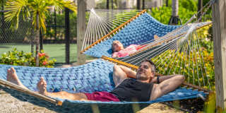 Town Treeline Gallery 11