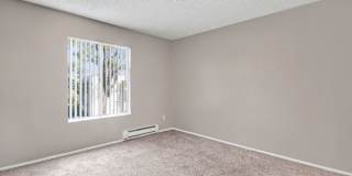 Olive Ridge Apartments Gallery 20