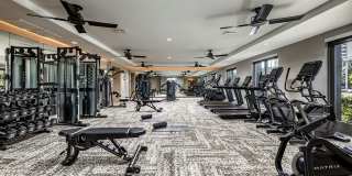Main & Jamboree Apartments Gallery 7
