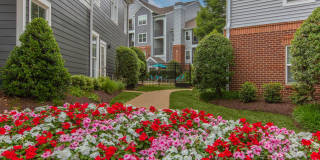 The Jefferson at Fair Oaks Gallery 20