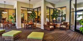 Citi Lights Apartment Homes Gallery 15