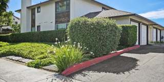 4946 Canto Dr Gallery 1