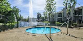 Edgewater Gallery 41