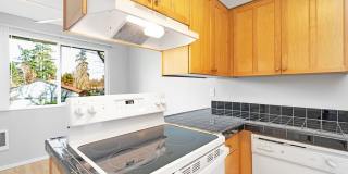 Carriage Estate Gallery 36