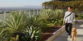 Sentral DTLA Sentral DTLA Gallery 3