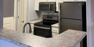 Port Royale Gallery 2