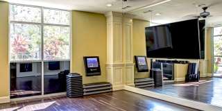 Boardwalk at Town Center Gallery 24