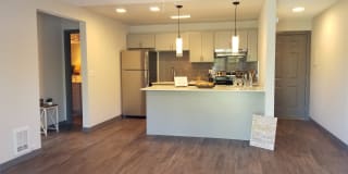 Windsor Park Gallery 1