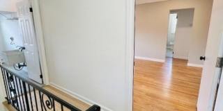426 Miltonia St Gallery 20