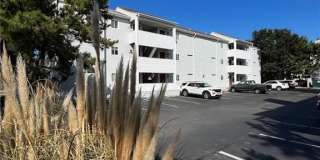 2320 Starfish RD Gallery 1