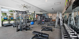 AMLI Midtown 29 Gallery 13