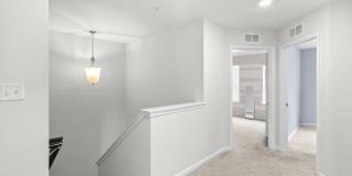 9715 SUMMERTON Drive Gallery 29