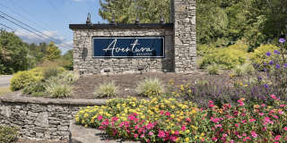 Aventura Bellevue Gallery 34