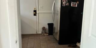 3 bedroom 2 bathroom near St. Mary's Hospital Gallery 33