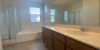 436 Cadence View Way Gallery 31