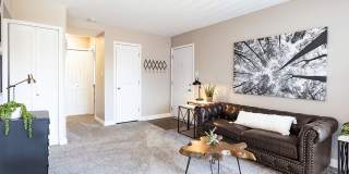 Westminster Apartments & Townhomes Gallery 4