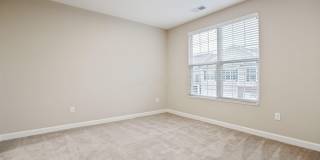 5137 Foxtail Pine Street Gallery 22