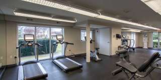 Echelon Glen Gallery 19