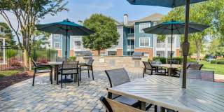 Thornhill Apartments Gallery 13