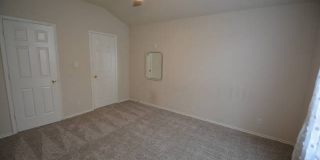 956 PERSIAN GDN Gallery 12