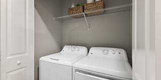 Magnolia at Powell Gallery 50