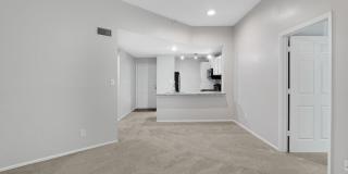 The Pines Gallery 14