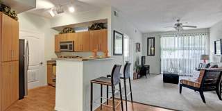 Acclaim Gallery 3