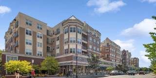 AMLI Evanston Gallery 7