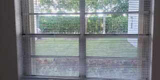 688 Burgundy O Gallery 4