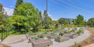 Windsor Riverfront Park Gallery 41