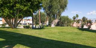 156 Falls Court Gallery 21