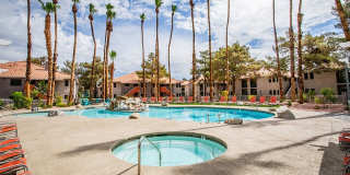 Bloom Apartment Homes Gallery 30